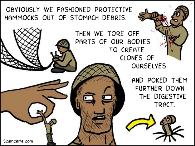 Asexual reproduction Cartoon