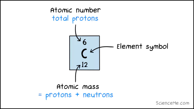 A carbon atom has 6 protons and 6 neutrons, giving it an atomic mass of 12 amu A carbon atom has 6 protons and 6 neutrons, giving it an atomic mass of 12 amu