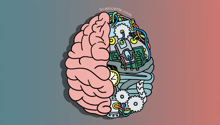 Are We More Than Biological Machines? | Science Me