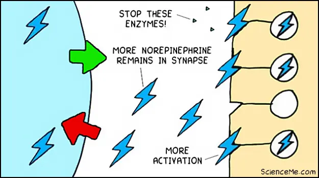MAOI antidepressants slow the breakdown of norepinephrine in the brain to treat depression MAOI antidepressants slow the breakdown of norepinephrine in the brain to treat depression