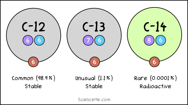 Carbon has three isotopes—C-12, C-13, and C-14—determined by the number of neutrons Carbon has three isotopes—C-12, C-13, and C-14—determined by the number of neutrons