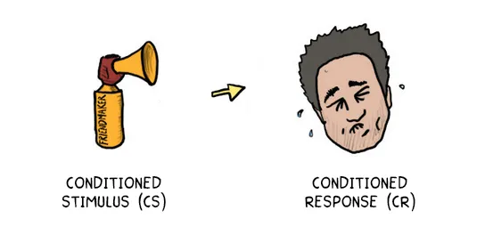 A Conditioned Stimulus (CS) Creates a Conditioned Response (CR)
