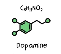 Dopamine molecule and chemical formula