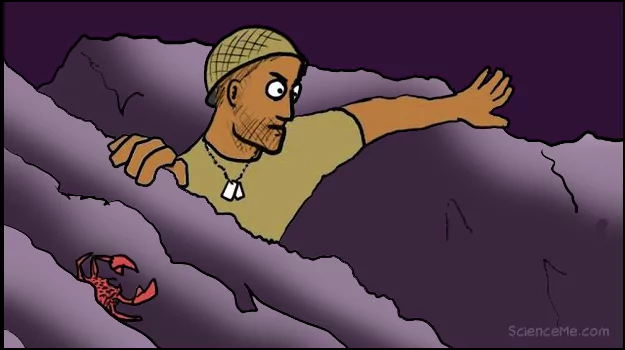 Hiding cartoon