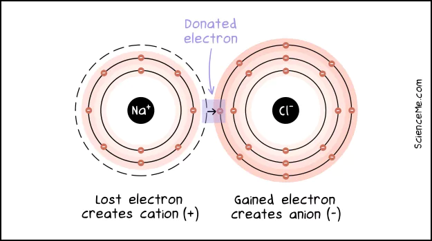 Ionic bonding involves electron donation to create positive and negative ions Ionic bonding involves electron donation to create positive and negative ions