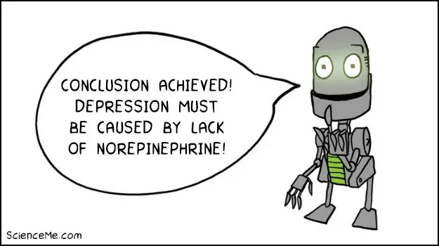 Is Depression a Lack of Norepinephrine Is Depression a Lack of Norepinephrine