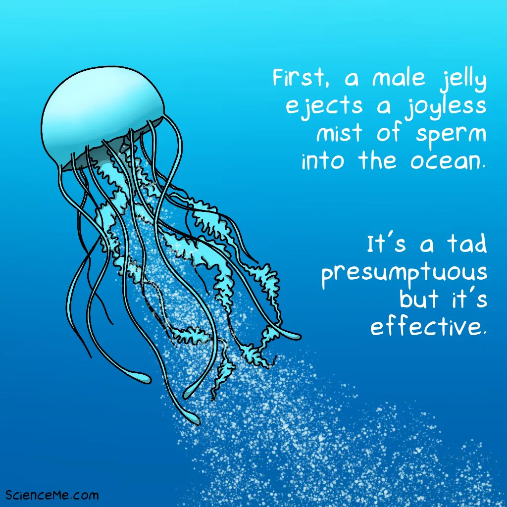 Illustration of male jellyfish releasing sperm into the ocean