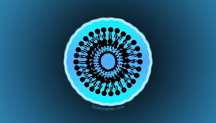 Nanomedicine is Here