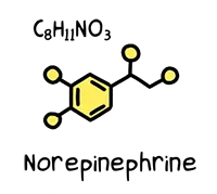 Norepinephrine molecule and chemical formula