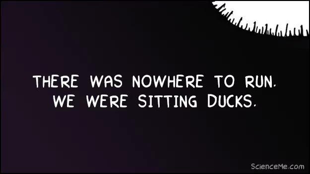 Nowhere to run