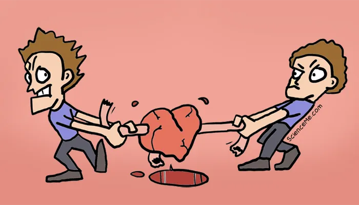 Who Owns Your Organs When You Die?