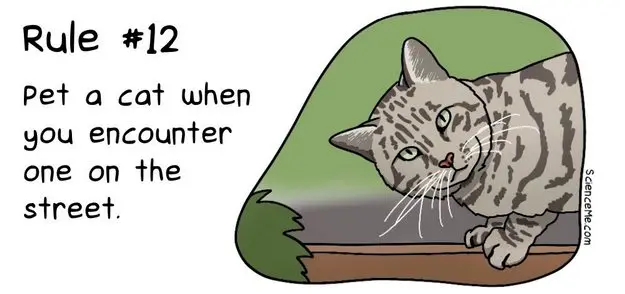 Rule 12: Pet a cat when you encounter one on the street