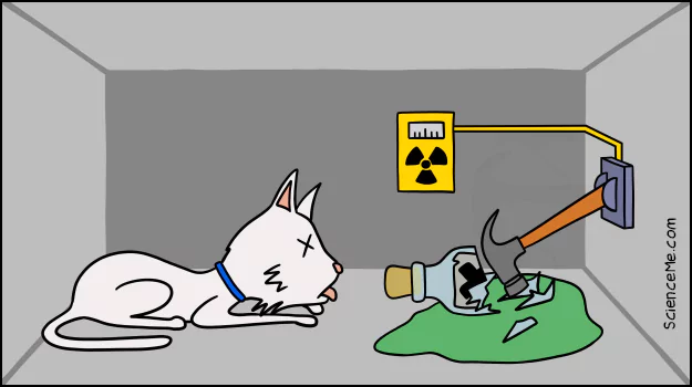Schrodinger's Cat explained