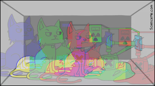 Schrodinger's Cat in the Many-Worlds Interpretation