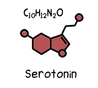 Serotonin molecule and chemical formula