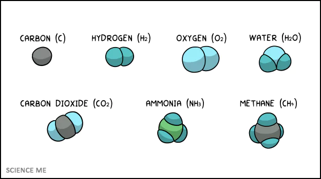 Space-filling model showing structure of common molecules Space-filling model showing structure of common molecules