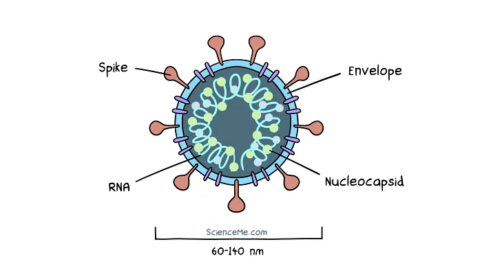 Virus cartoon