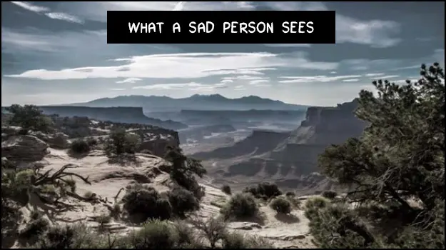 What a Sad Mind Sees What a Sad Mind Sees