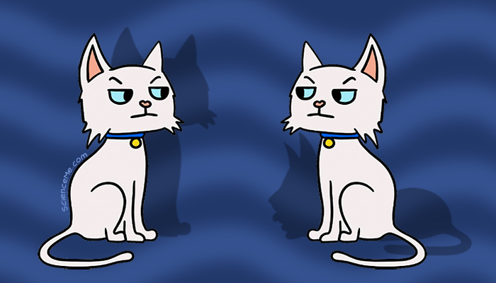 What is Schrodinger's Cat? thumbnail