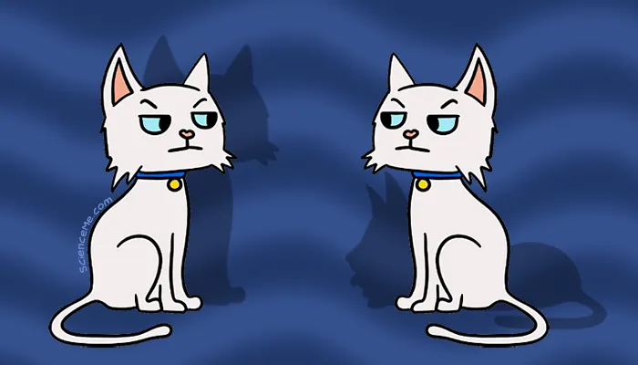 What is Schrodinger's Cat?